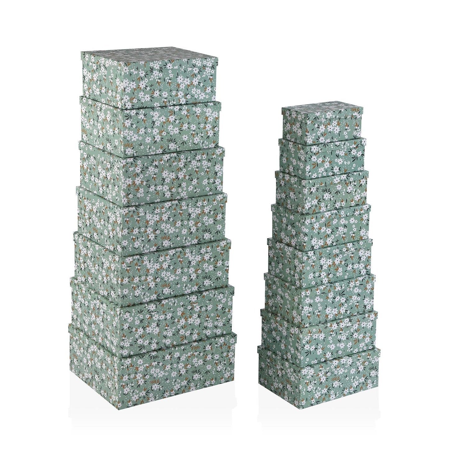 SET 15 CAJAS CARTON BELLIS VERSA 2026 JUNIO
