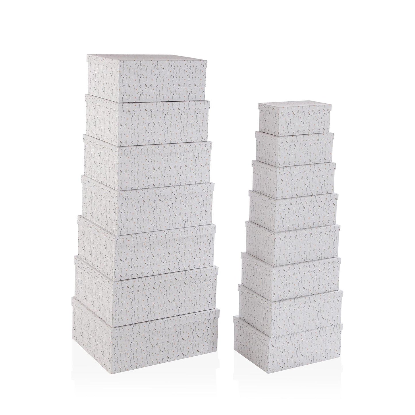 SET 15 CAJAS CARTON LAISON VERSA 2026 JUNIO