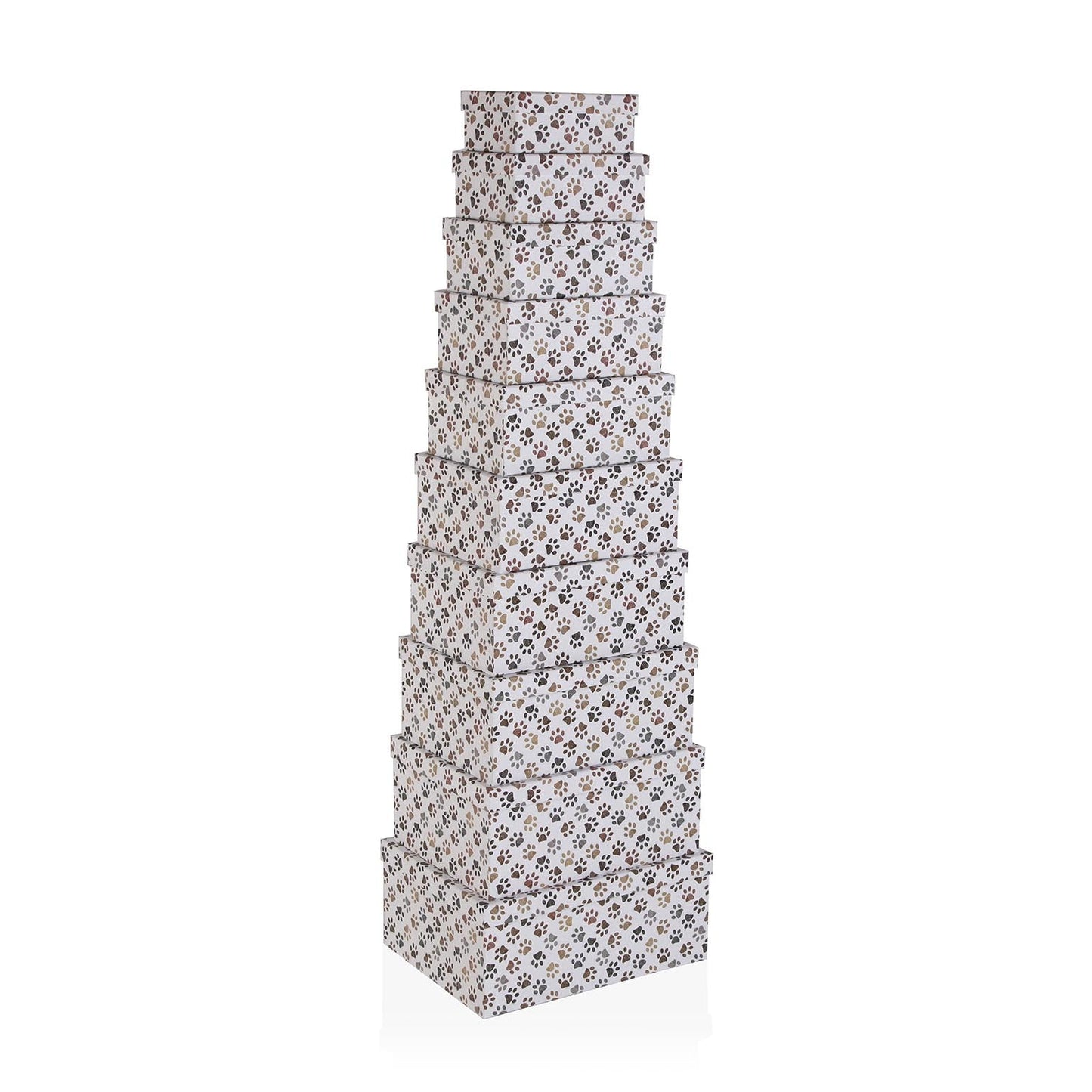 SET 10 CAJAS CARTON PETPRINT VERSA 2026 JUNIO