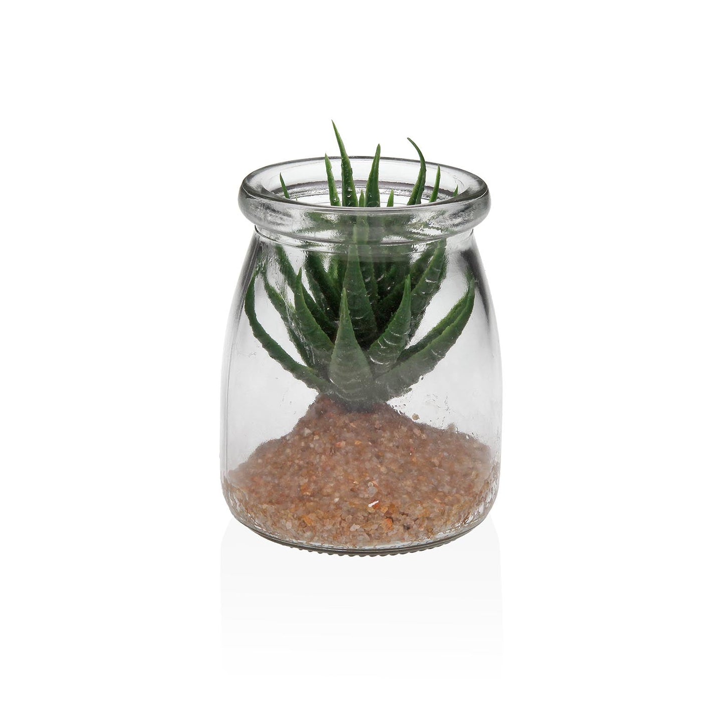 TARRO DE CRISTAL CON SUCULENTA 1 Versaotoño