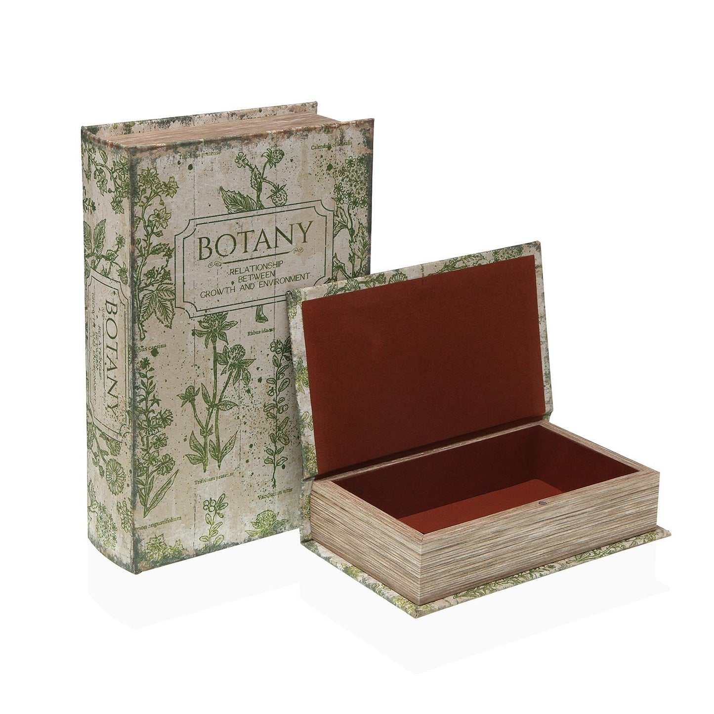 SET/2 LIBROS BOTANICA VERSA 2026 JUNIO