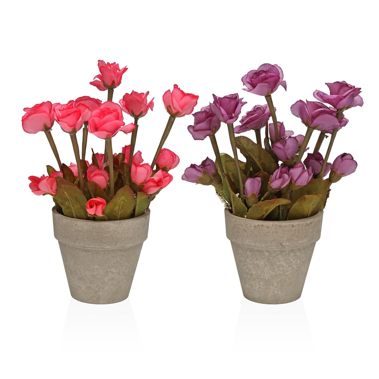 SURTIDOS DOS PLANTAS DECORATIVAS DE 27 CM VERSA 2026 JUNIO