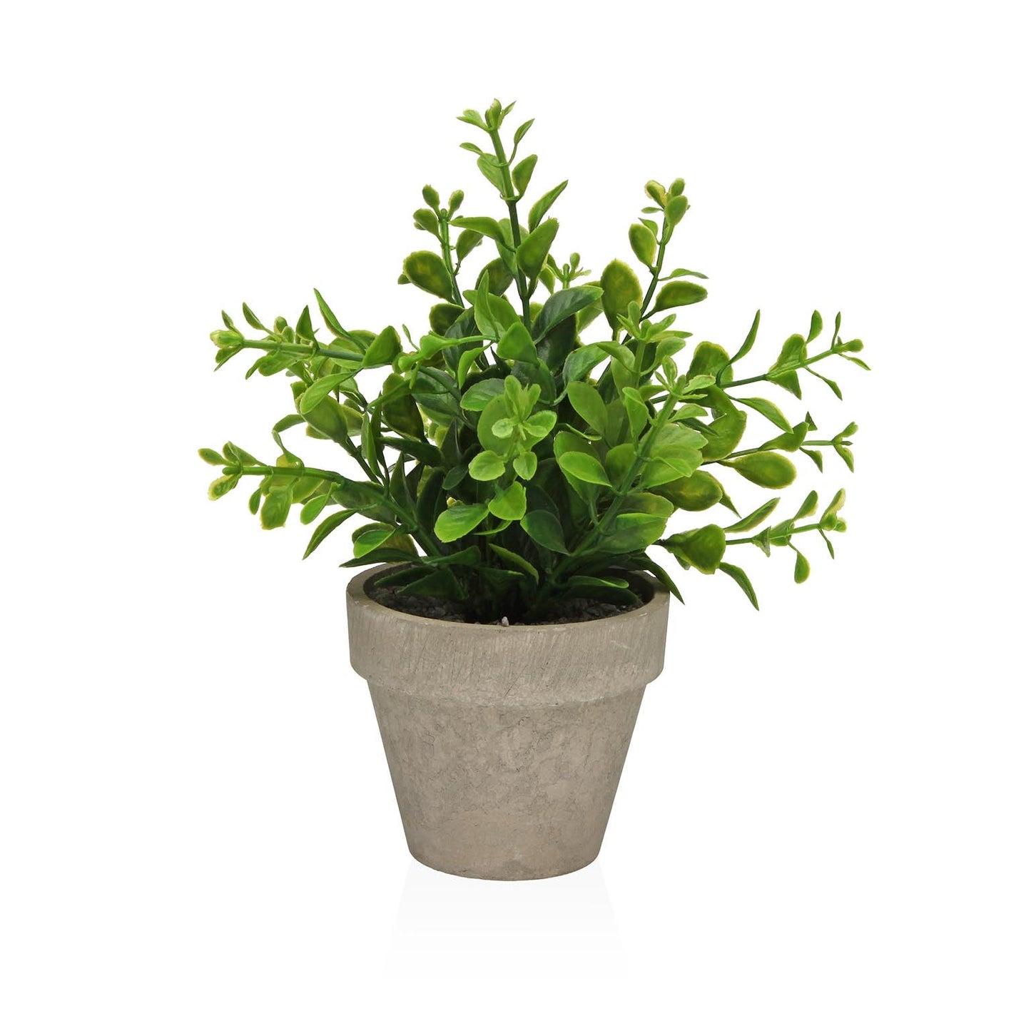 MACETA DECORATIVA CON RAMO VERDE 16 CM VERSA 2026 JUNIO