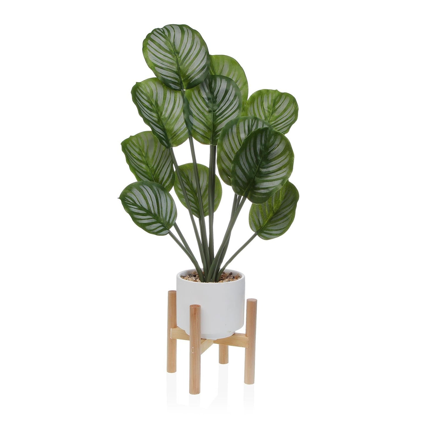 PLANTA EN MACETA 61CM. VERSA 2026 JUNIO