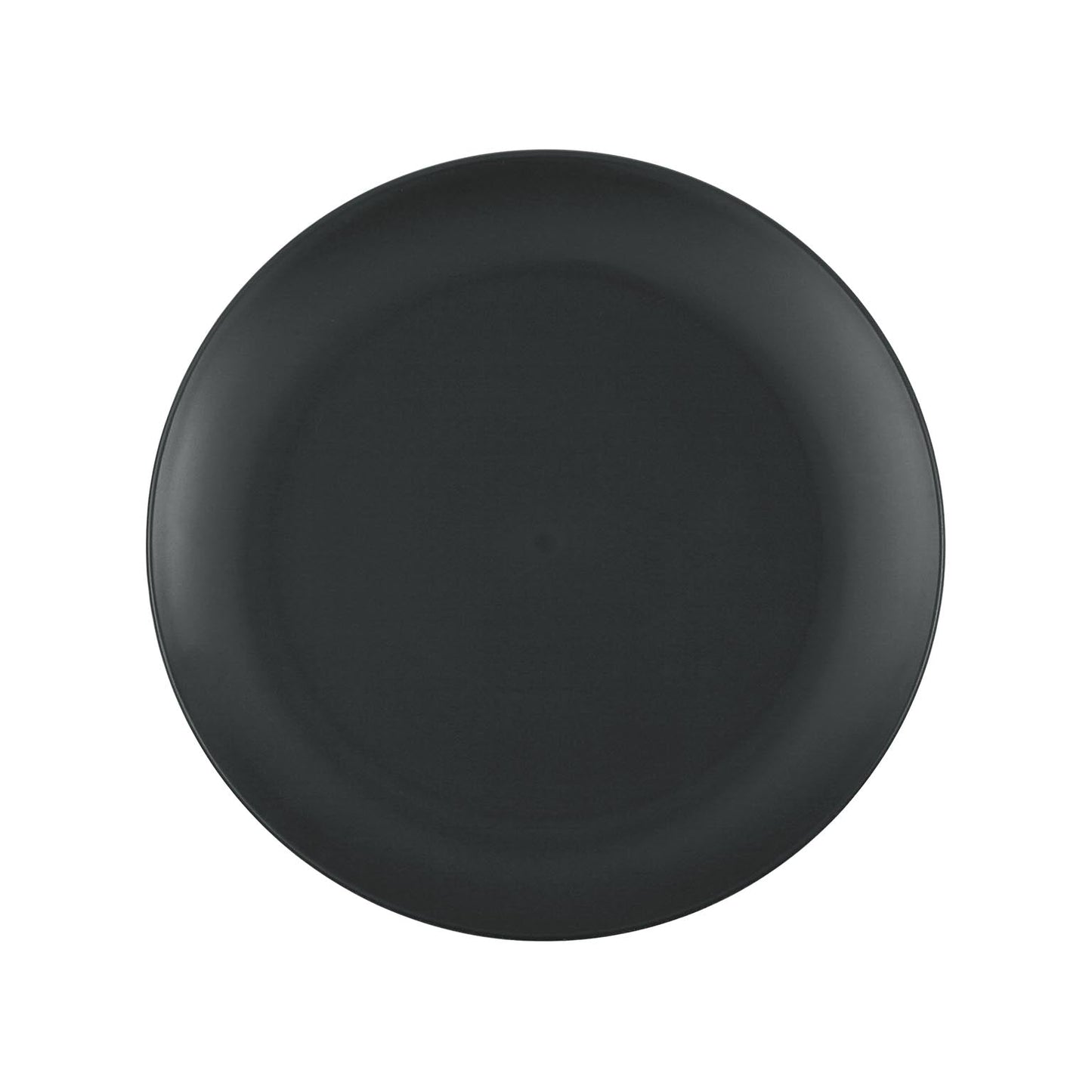 PLATO GRIS 25CM VERSA 2026 JUNIO