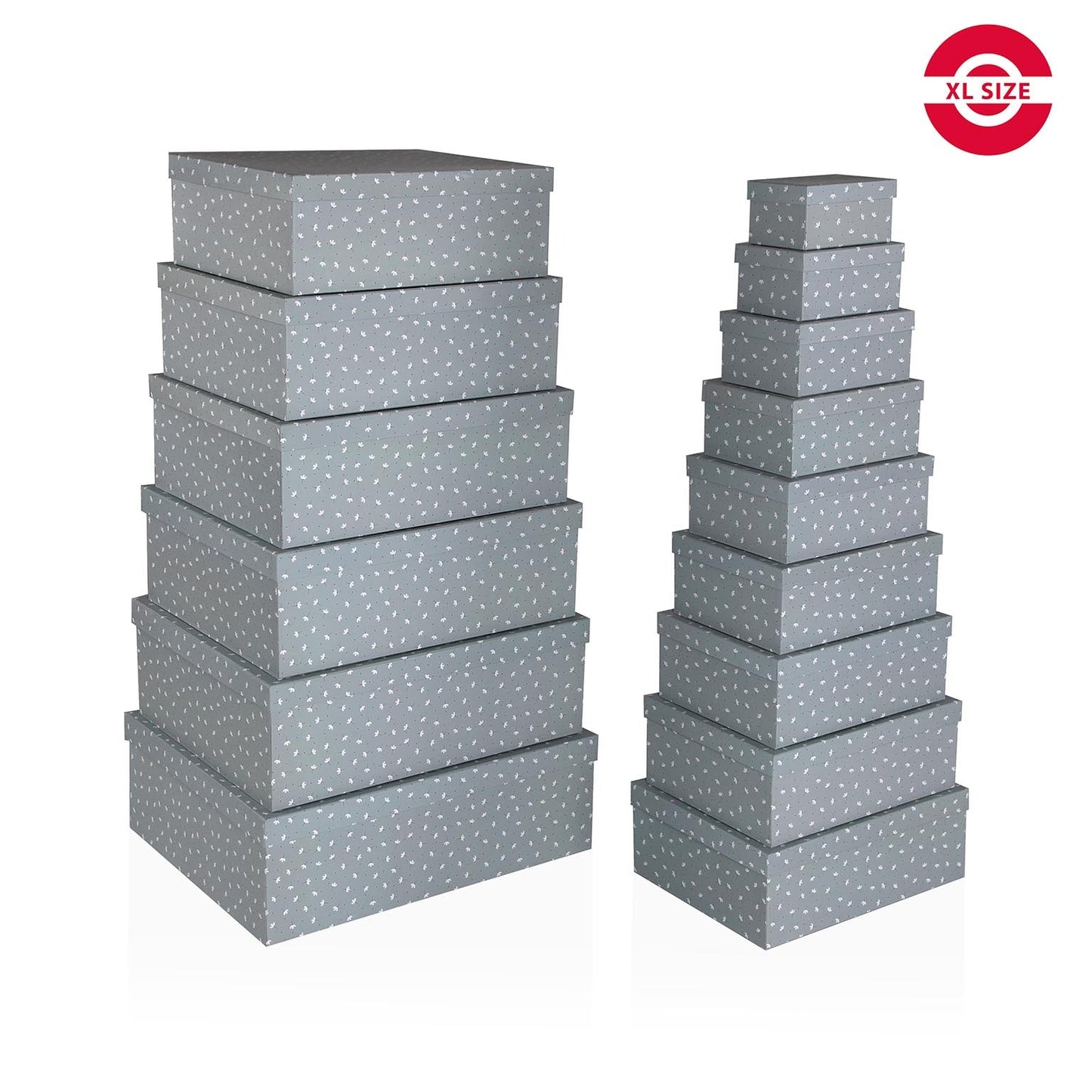 SET 15 CAJAS CARTON FLORES VERSA 2026 JUNIO