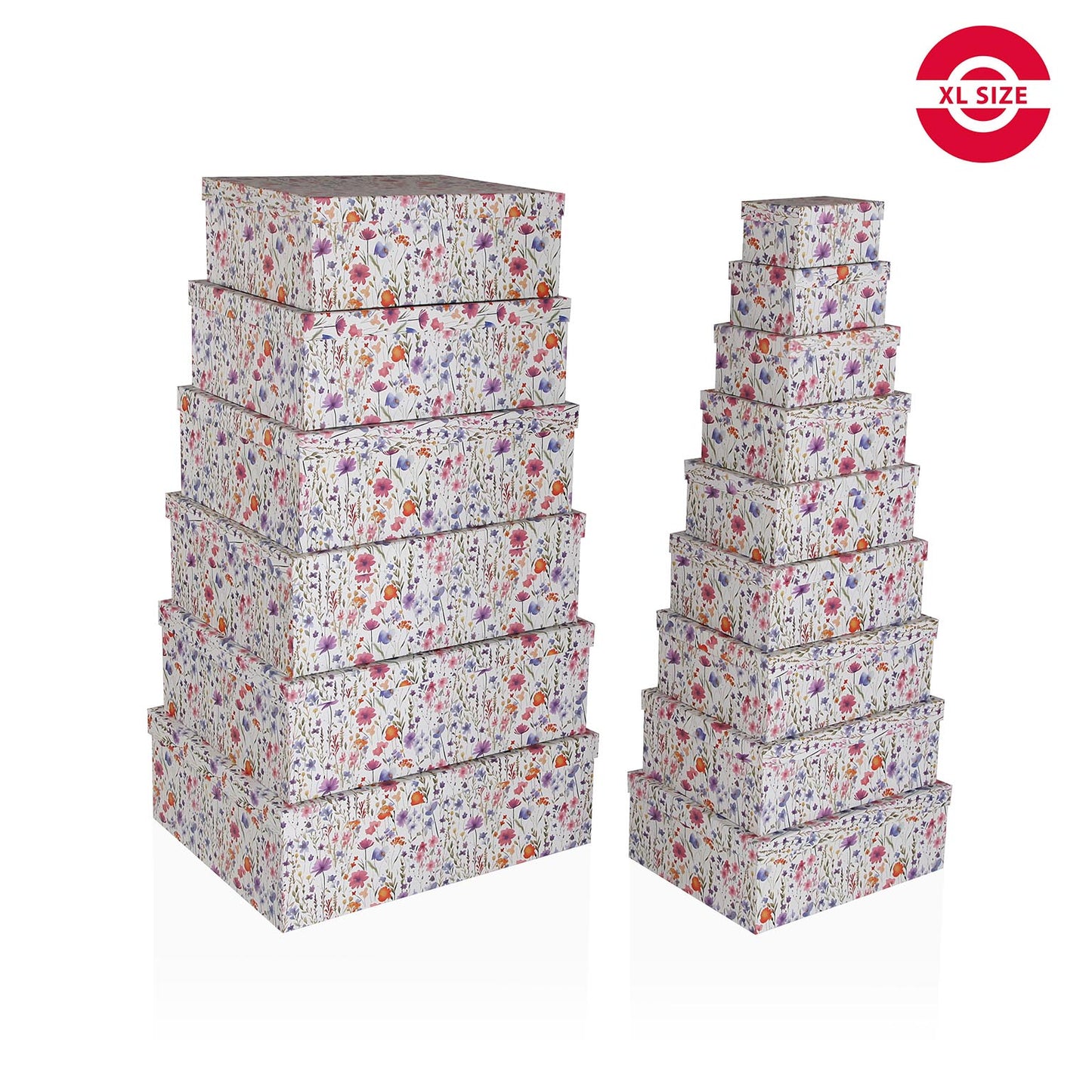 SET 15 CAJAS RAMO VERSA 2026 JUNIO