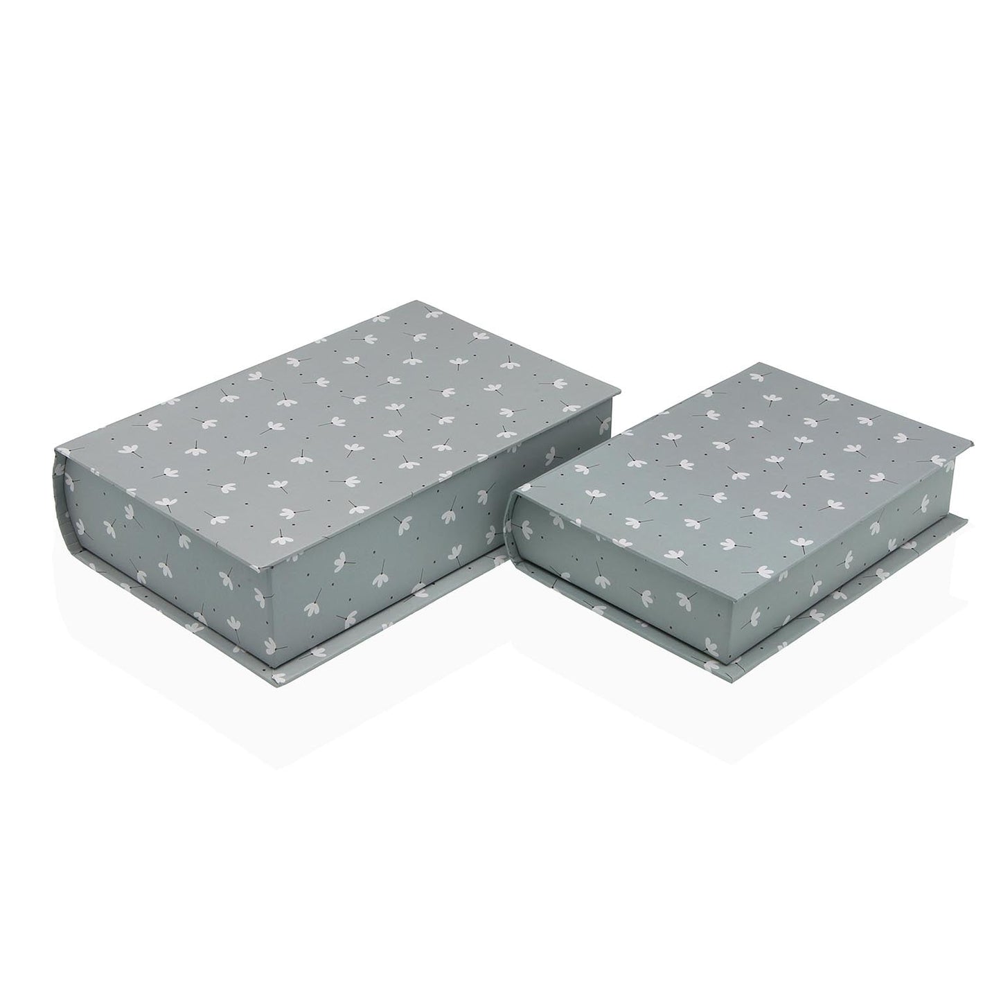 SET/2 LIBROS FLORES VERSA 2026 JUNIO