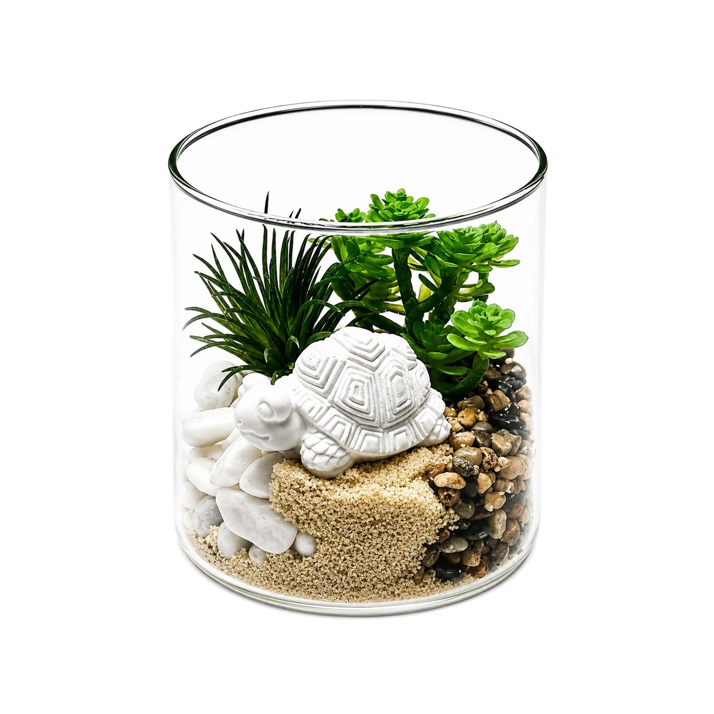 MACETA DE CRISTAL CON PLANTA Y TORTUGA VERSA 2026 JUNIO