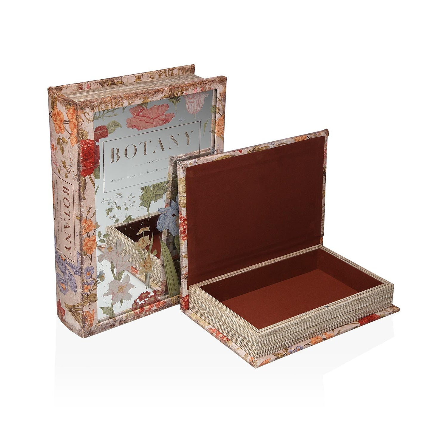 SET/2 LIBROS BOTANICA VERSA8NOV