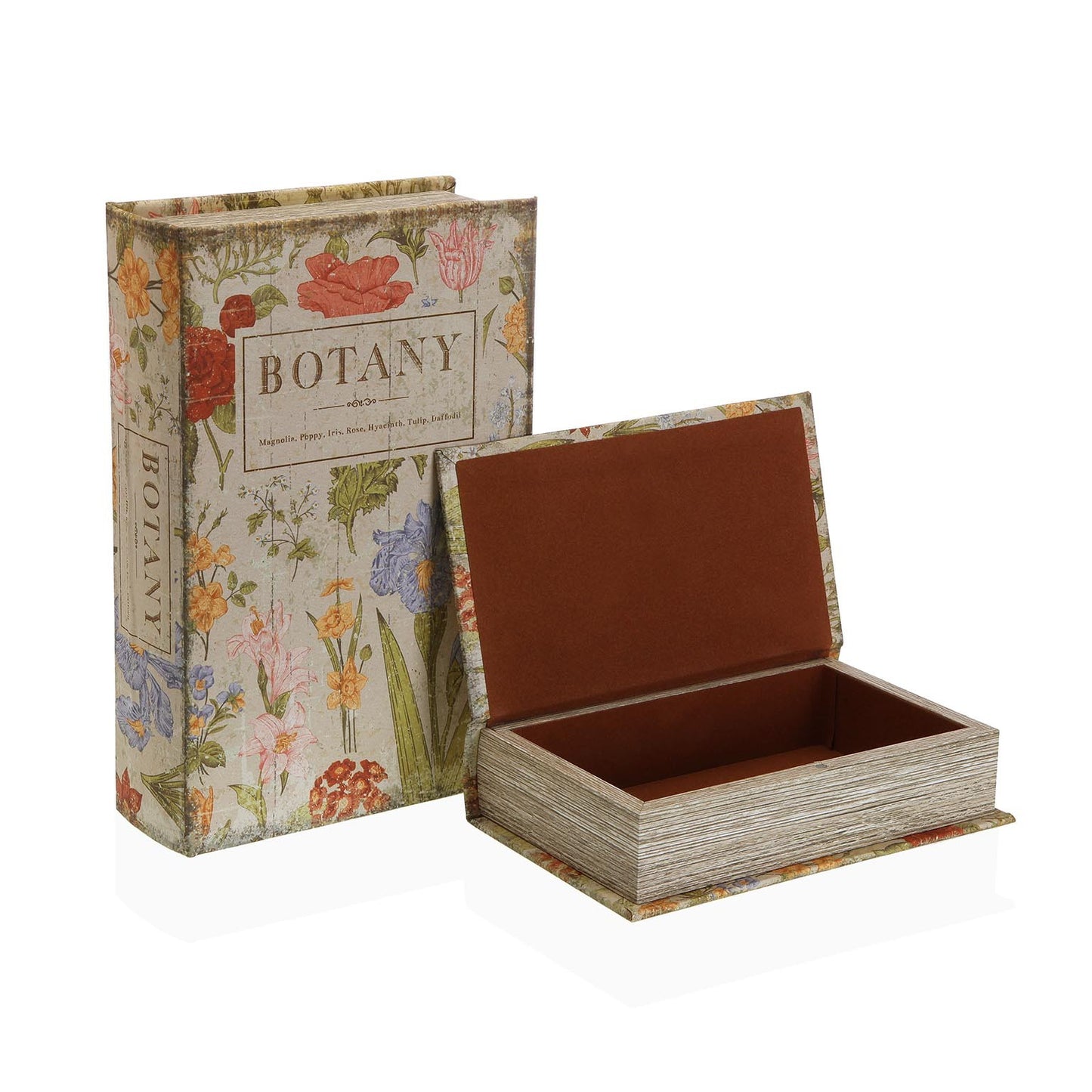 SET/2 LIBROS BOTANY VERSA8NOV