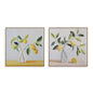 CUADRO SURTIDO LIENZO LIMONES 40 X 40 Versaotoño
