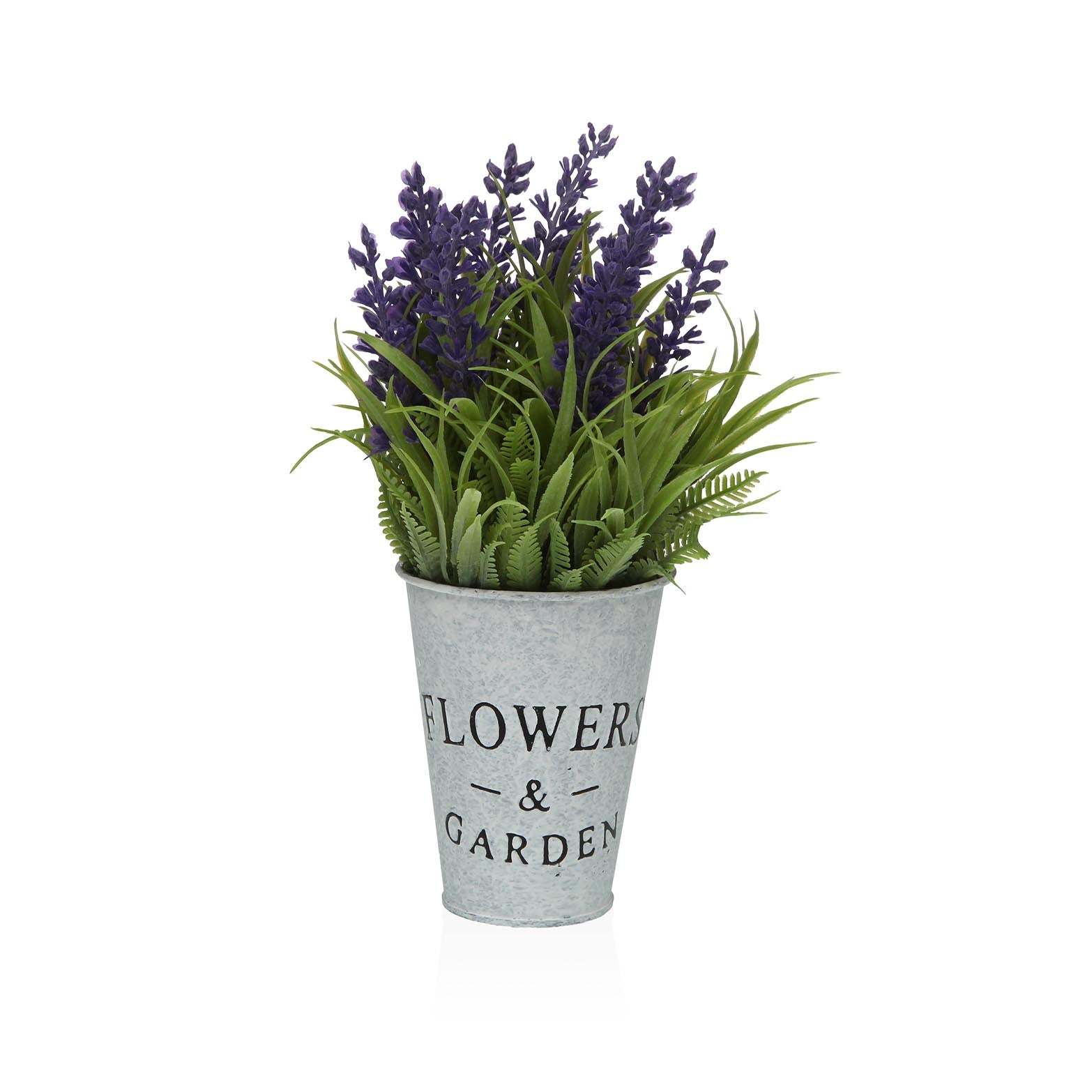 PLANTA LAVANDA CON MACETA VERSA 2026 JUNIO