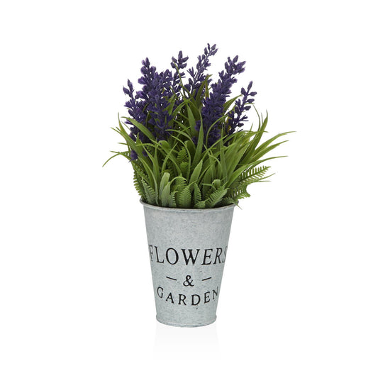 PLANTA LAVANDA CON MACETA VERSA 2026 JUNIO