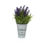 PLANTA LAVANDA CON MACETA VERSA 2026 JUNIO