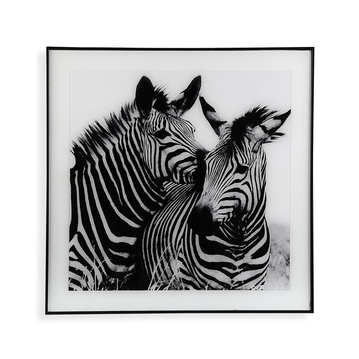 CUADRO CRISTAL ZEBRA 1 Versaotoño