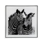CUADRO CRISTAL ZEBRA 1 Versaotoño