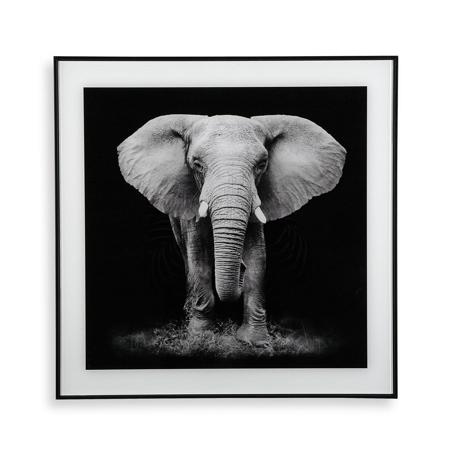 CUADRO CRISTAL ELEFANTE Versaotoño
