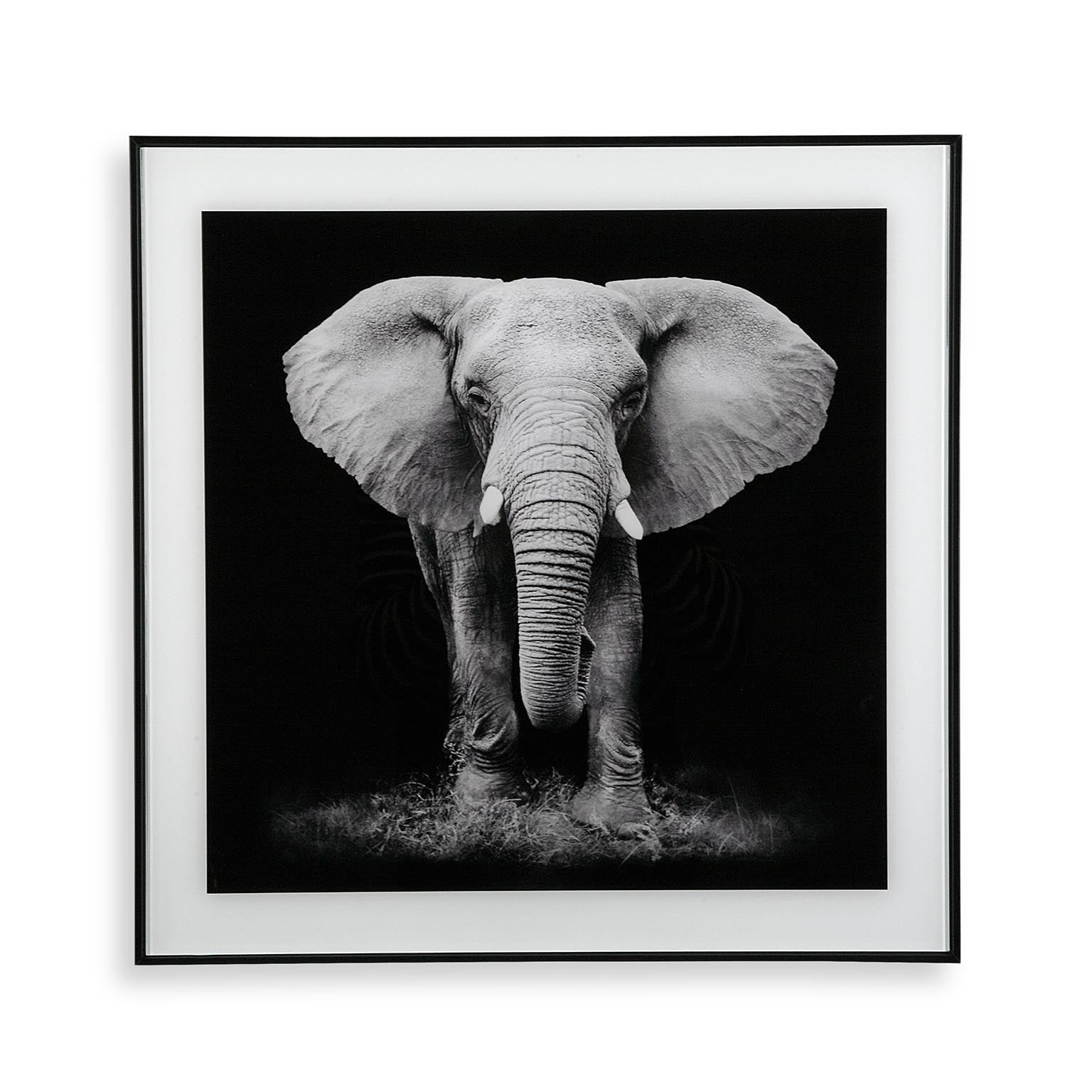 CUADRO CRISTAL ELEFANTE Versaotoño