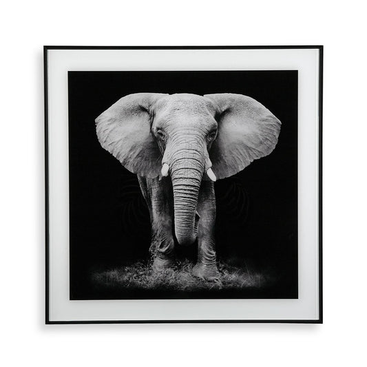 CUADRO CRISTAL ELEFANTE Versaotoño