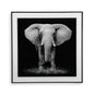 CUADRO CRISTAL ELEFANTE Versaotoño