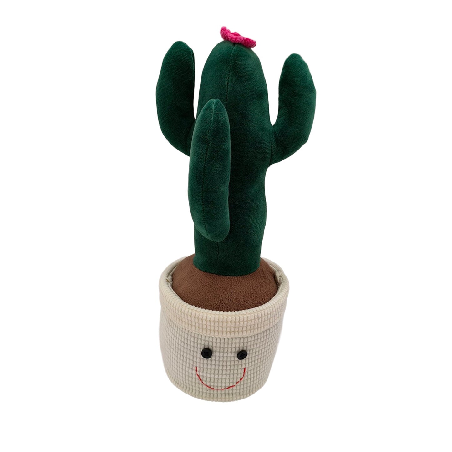 SUJETA PUERTAS CACTUS FLOR VERSA FEBRERO