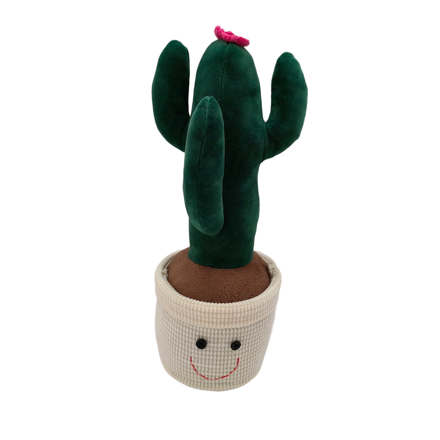 SUJETA PUERTAS CACTUS FLOR VERSA FEBRERO