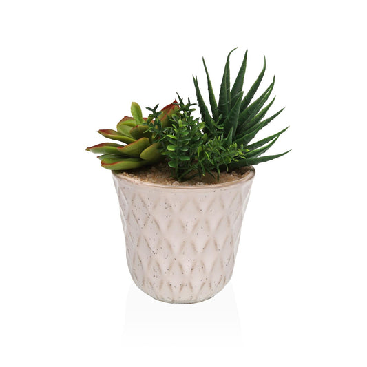 MACETA DE CERAMICA CON SUCULENTA 1 Versaotoño