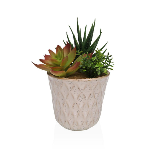 MACETA DE CERAMICA CON SUCULENTA 2 Versaotoño