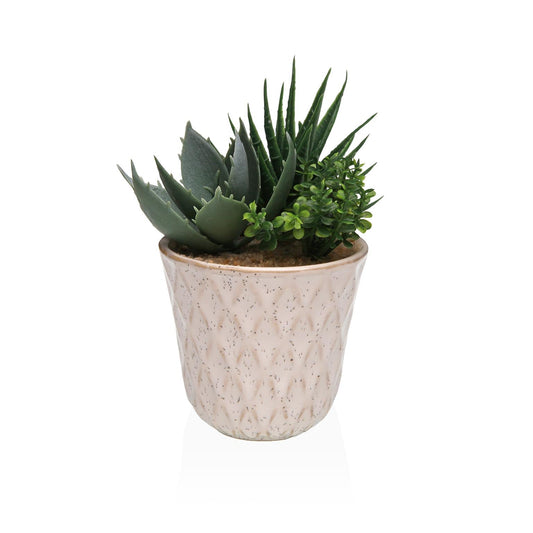 MACETA DE CERAMICA CON SUCULENTA 3 Versaotoño