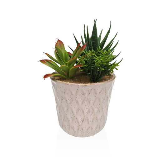 MACETA DE CERAMICA CON SUCULENTA 4 Versaotoño