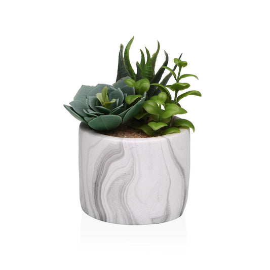 MACETA DE EFECTO MARMOL CON SUCULENTA 4 Versaotoño