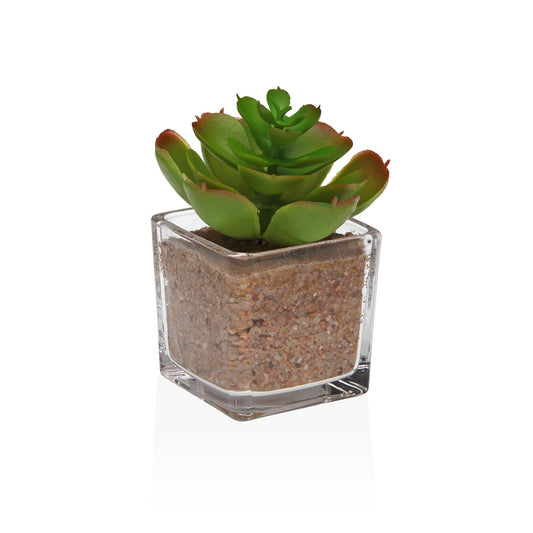 MACETA DE CRISTAL CON SUCULENTA 4 Versaotoño