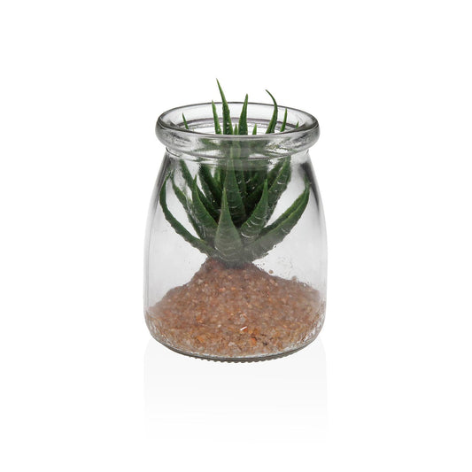 TARRO DE CRISTAL CON SUCULENTA 1 Versaotoño