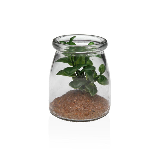 TARRO DE CRISTAL CON SUCULENTA 4 Versaotoño