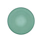PLATO LLANO TRANSPARENTE VERDE VERSA 2026 JUNIO