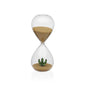 RELOJ DE ARENA CACTUS 15MIN VERSA FEBRERO