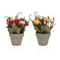 SURTIDO DE MACETA DECORATIVA CON CLAVELES 26 CM Versaotoño