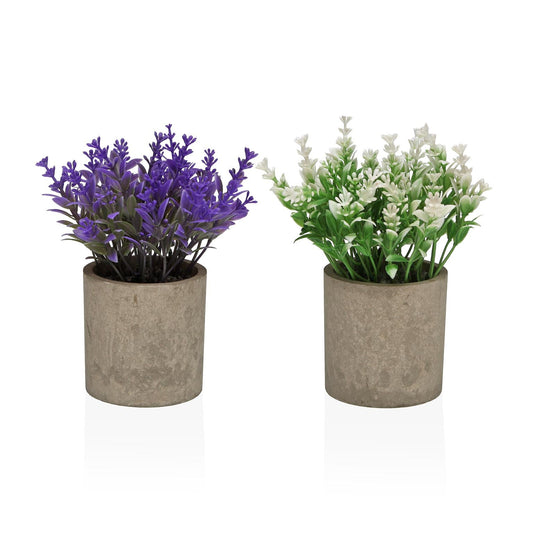 SURTIDO DE MACETA DECORATIVA CON MIMOSAS 16 CM Versaotoño
