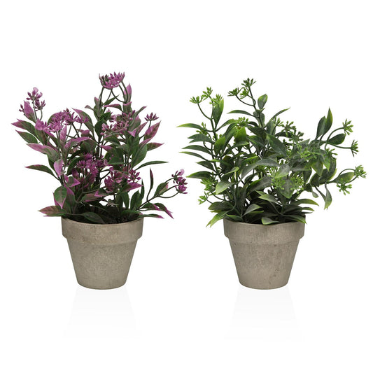 SURTIDOS DOS PLANTAS DECORATIVAS DE 26CM Versaotoño
