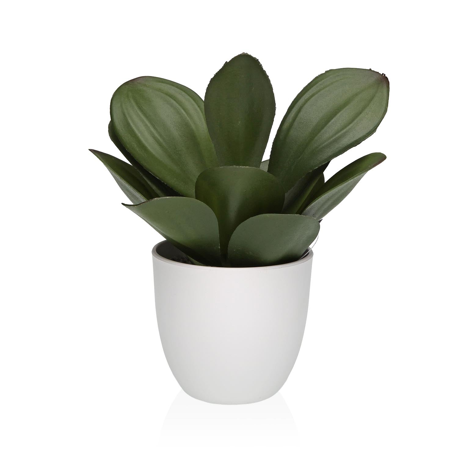MACETA DECORATIVA CON PLANTA 23 CM Versaotoño