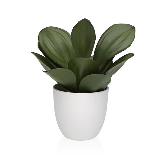 MACETA DECORATIVA CON PLANTA 23 CM Versaotoño