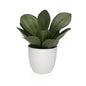 MACETA DECORATIVA CON PLANTA 23 CM Versaotoño