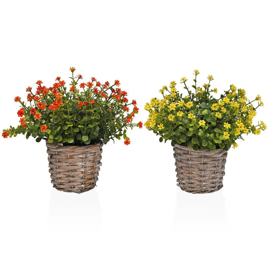 SURTIDO DOS MACETAS DECORATIVAS CON "SIEMPREVIVAS" Versaotoño
