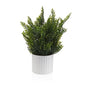 MACETA DECORATIVA CON PLANTA 26 CM Versaotoño