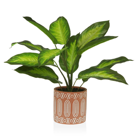 PLANTA EN MACETA 48CM Versaotoño