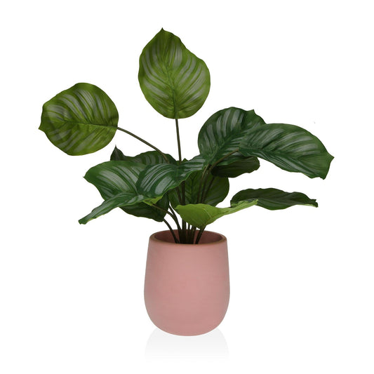 PLANTA EN MACETA 44CM Versaotoño