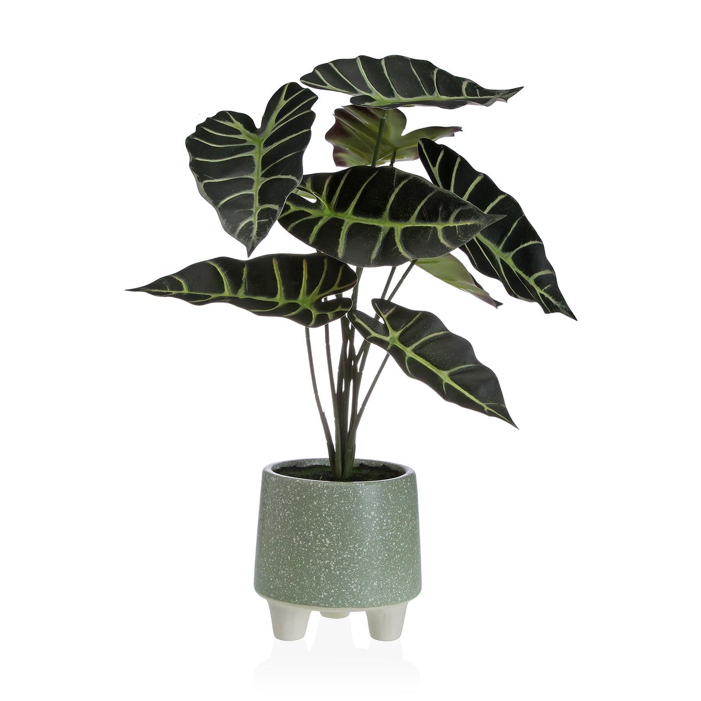 PLANTA EN MACETA 46CM. Versaotoño