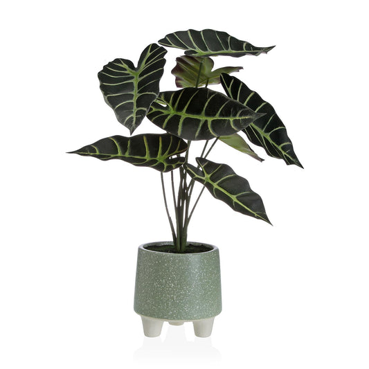 PLANTA EN MACETA 46CM. Versaotoño