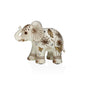 FIGURA ELEFANTE NACAR M VERSA 2026 JUNIO